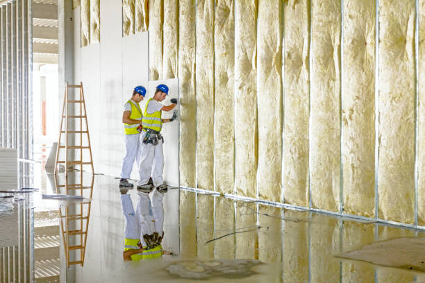 Best Insulation for Commercial Buildings  in USA